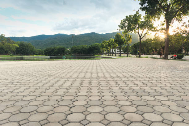 Best Commercial Driveway Pavers  in Mansfield, TX